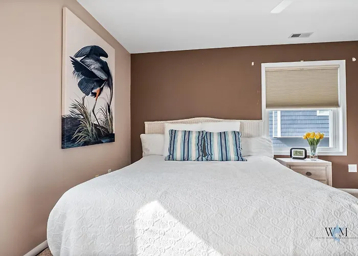 Charming Ocean Near & White Marlin Open, Perfect For Anglers & Families Ocean City